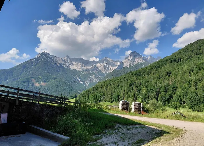 Bio Bauernhof Geisl شقة