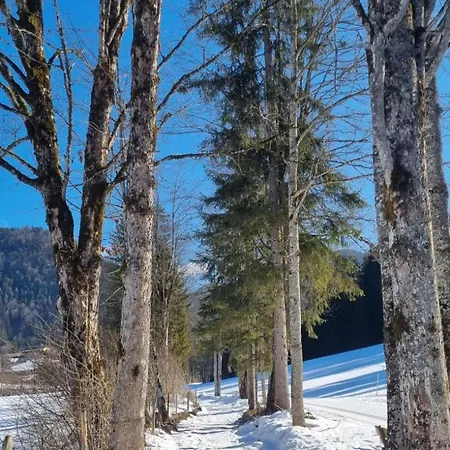 Bio Bauernhof Geisl
